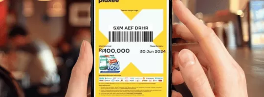 PLUXEE EVOUCHER