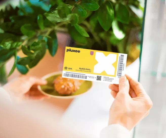PLUXEE GIFT 656 X 544